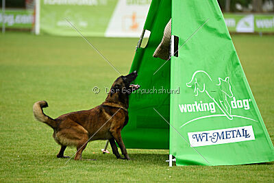 Malimaniac's Erlkönig