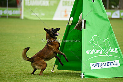 Malimaniac's Erlkönig