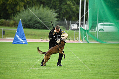 Malimaniac's Erlkönig