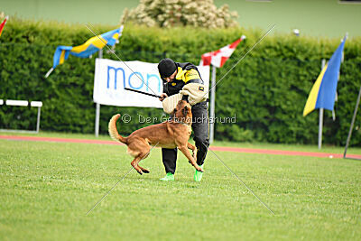 Malisko Sky is the Limit