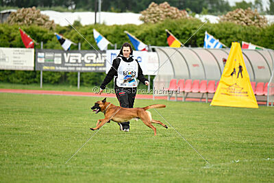 Malisko Sky is the Limit