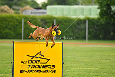 Malisko Sky is the Limit