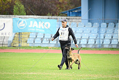 Mamba Tore's Working Dogs