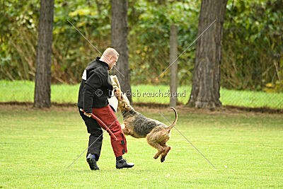 Manni Möhre von Thekla