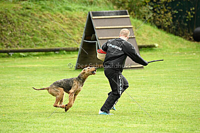 Manni Möhre von Thekla