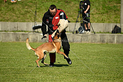 Marou vom Roten Juwel