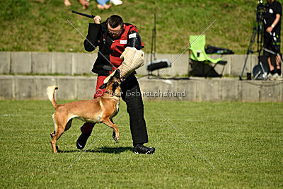 Marou vom Roten Juwel