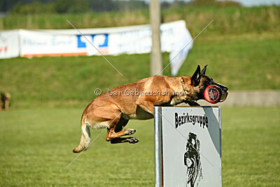 Marou vom Roten Juwel