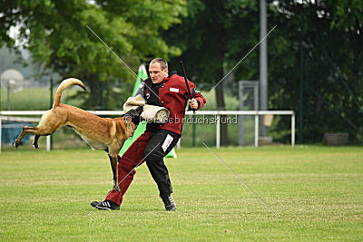 Marron du Mont St.Aubert