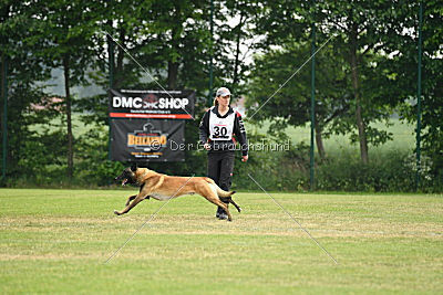 Marron du Mont St.Aubert