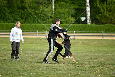 Mata-Hari von MaKeRa