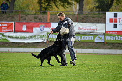 Matcho vom Mochauer Land