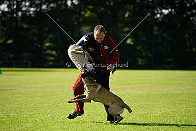 Matilda van de Zilveren Loop