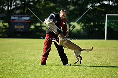 Matilda van de Zilveren Loop