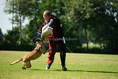Matilda van de Zilveren Loop