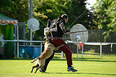 Matilda van de Zilveren Loop
