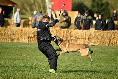 Matrix de Solare's Venezuela