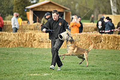 Matrix de Solare's Venezuela