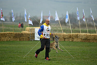 Matrix de Solare's Venezuela