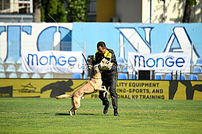 Matrix de Solare's Venezuela