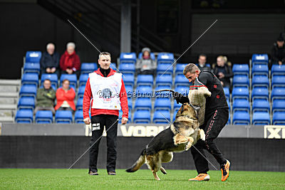 Mats le Petit Fouilleur