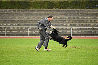 Max vom Mochauer Land