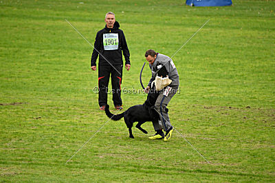 Max vom Mochauer Land