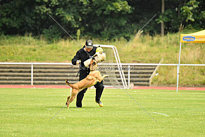 Maxi du Baudet Rouge