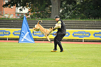 Maxi du Baudet Rouge