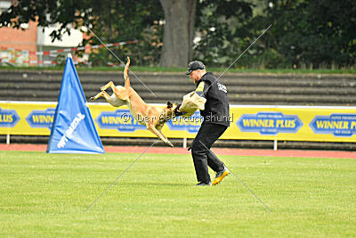 Maxi du Baudet Rouge