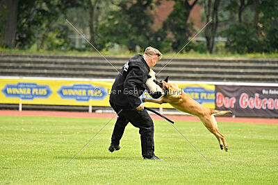 Maxi du Baudet Rouge
