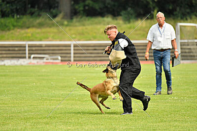 Maxi du Baudet Rouge