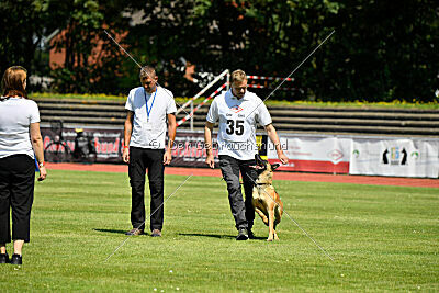 Maxi du Baudet Rouge