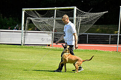 Maxi du Baudet Rouge
