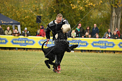 Mefisto Mio Goldest Danubius