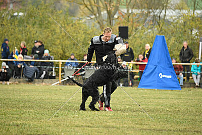 Mefisto Mio Goldest Danubius