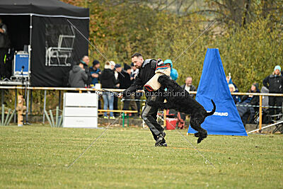 Mefisto Mio Goldest Danubius