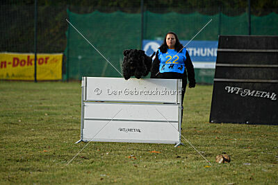 Mefisto Mio Goldest Danubius