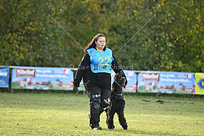 Mefisto Mio Goldest Danubius