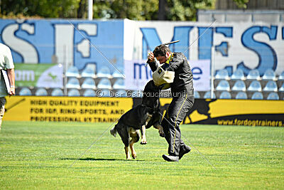 Meiko des Orckis de l'Adret