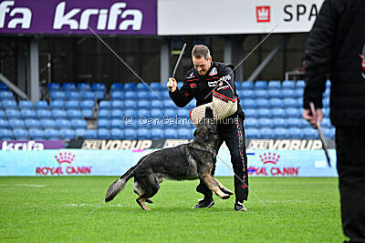 Mexx du Niclausenholz