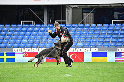 Mexx du Niclausenholz