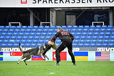 Mexx du Niclausenholz