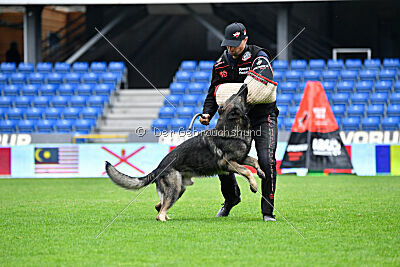 Mexx du Niclausenholz