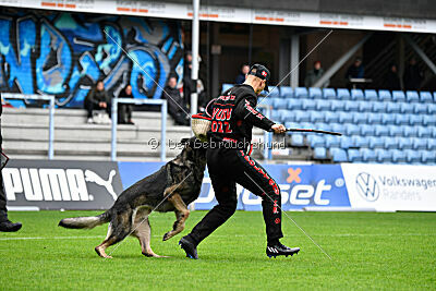 Mexx du Niclausenholz