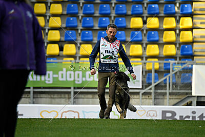 Mexx du Niclausenholz