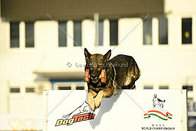 Mexx du Niclausenholz