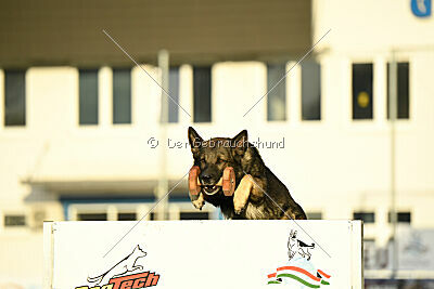 Mexx du Niclausenholz