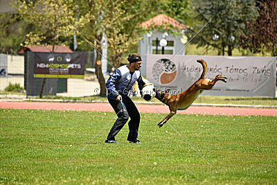 Mia Draconis Arek