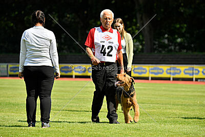 Milan Tringensteiner Schelderwald